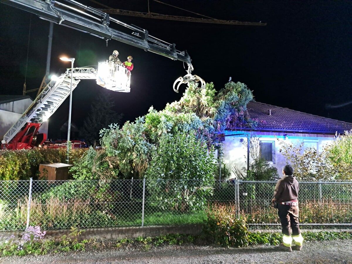 Auch die Vorarlberger Feuerwehren mussten zu einigen Sturmeinsätzen ausrücken. In Hohenems landete eine Tanne auf einem Hausdach. ⇒FW Hohenems