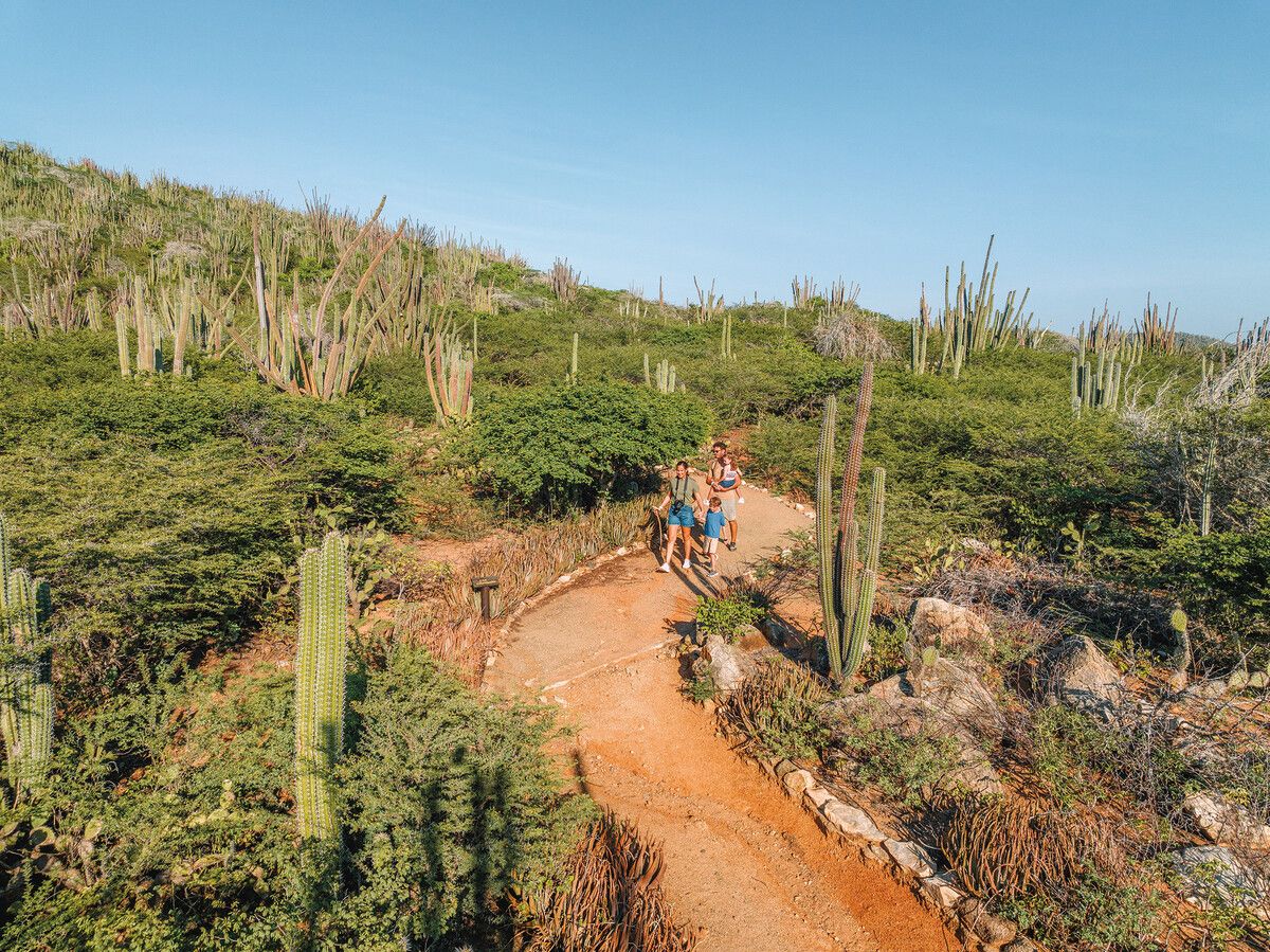 Auch familienfreundliche Wanderungen gibt es im Nationalpark.⇒Jetlag, Aruba Tourism A. (2)