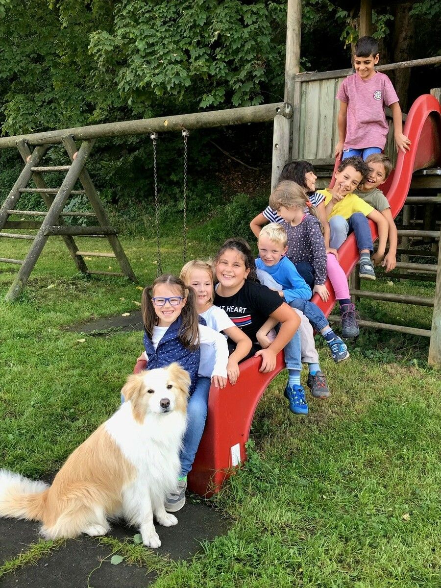 Bereits zum siebten Mal wird der Lehrgang Schulhund: Tierbotschafter im Unterricht angeboten.⇒
⇒
Volkshochschule Götzis
