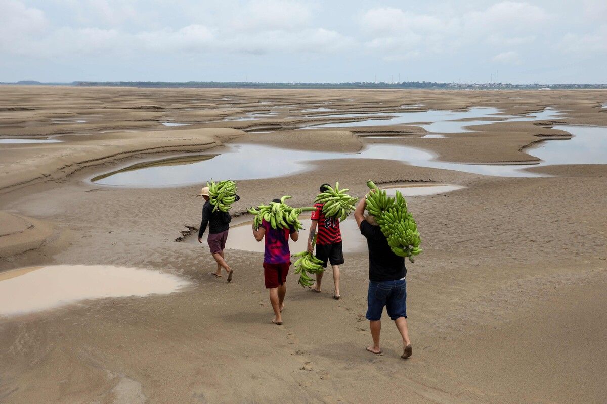 Das Solimoes-Flussbett in Nordbrasilien ist ausgetrocknet. Aufgrund einer historischen Dürre ist das Wasser entlang des Amazonas knapp. AFP