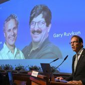 Nobelpreis-Kür hat begonnen