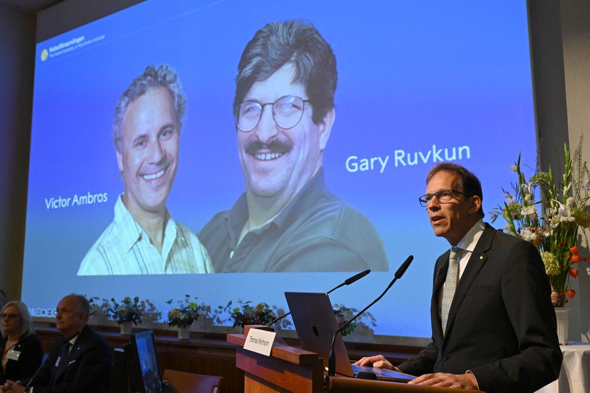 Der diesjährige Nobelpreis für Medizin ist den US-Forschern Victor Ambros und Gary Ruvkun für die Entdeckung der microRNA zuerkannt worden.⇒afp