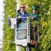 Drei neue Lehrberufe