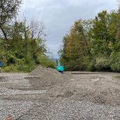 Dornbirn schützt die Bodensee-Nase
