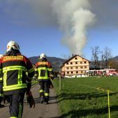 Stall in Flammen: 50 Tiere gerettet