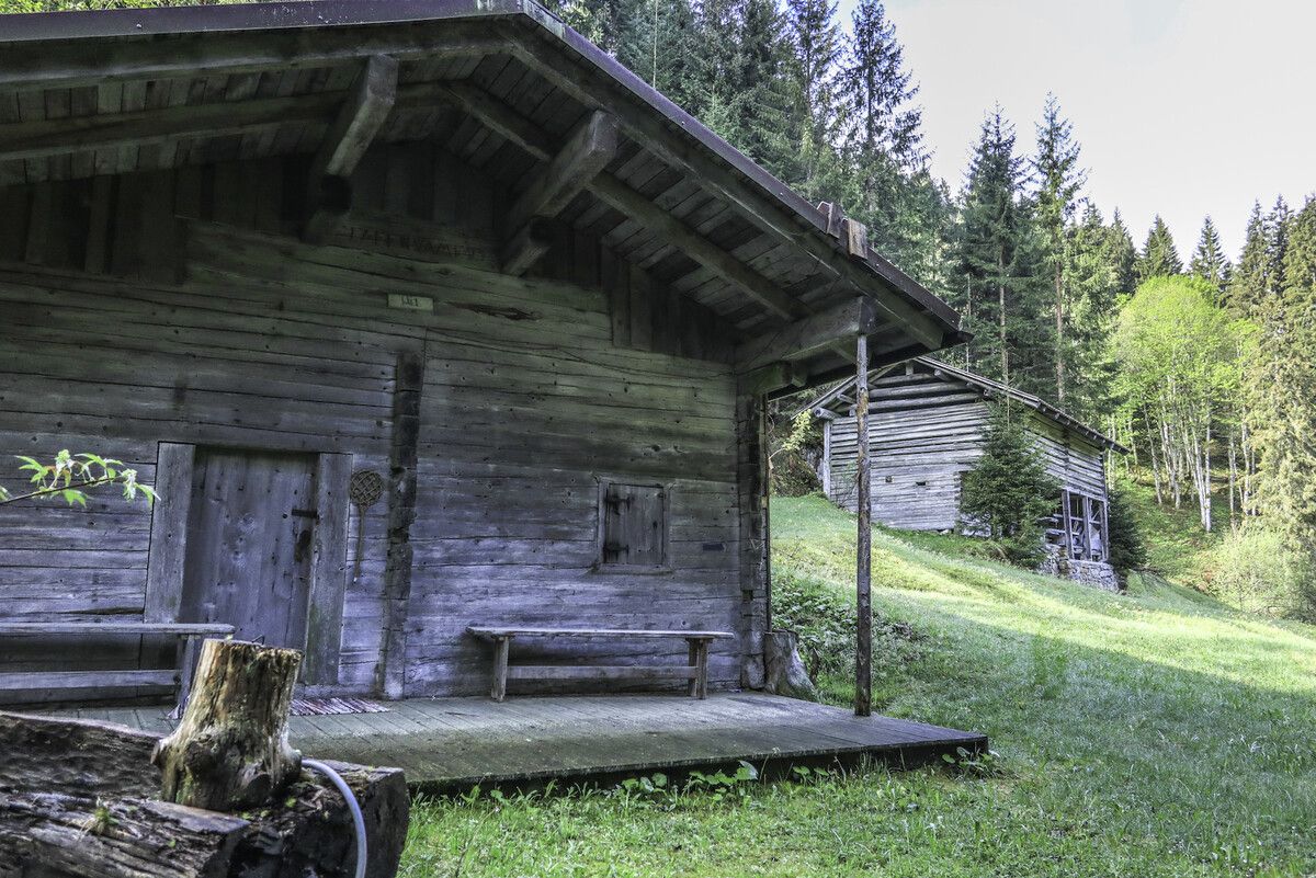Die gemütliche Wanderung führt durch die Schattenmähder in Wald am Arlberg. ⇒ MV Klostertal