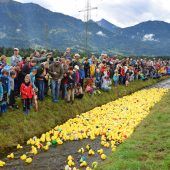 Welche Ente ist die schnellste?