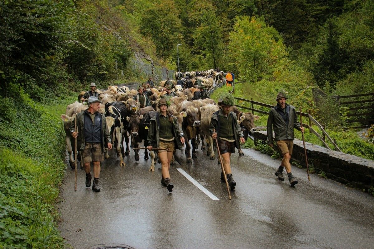 Die Wolfsangriffe auf der Alpe Süns haben bei den Hirten Spuren hinterlassen: Verzweiflung, Angst und traurige Tage begleiteten den Alltag. ⇒Agrargemeinschaft Emser Alpen