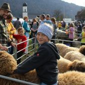 Stau-Alarm auf der Goaßamat-Meile