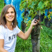 Zeit für die Weinlese