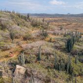 Arubas wilder Arikok-Park