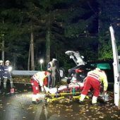 Frontal gegen Baum
