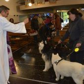 Tiersegnung in Feldkirch-Levis