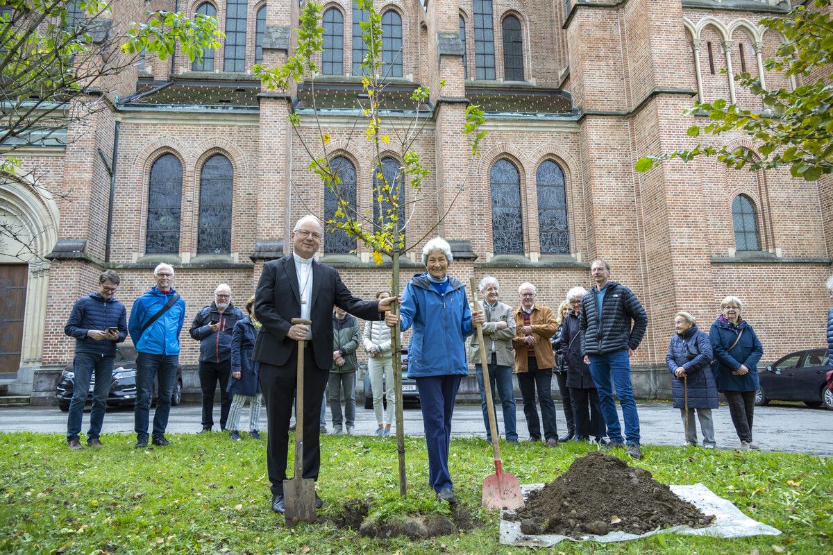Hildegard Breiner und Bischof Benno pflanzen bei der Herz-Jesu-Kirche in Bregenz den ersten von insgesamt 111 Bäumen. ⇒VN/Paulitsch