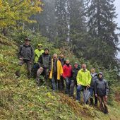 Mischwald schützt am besten
