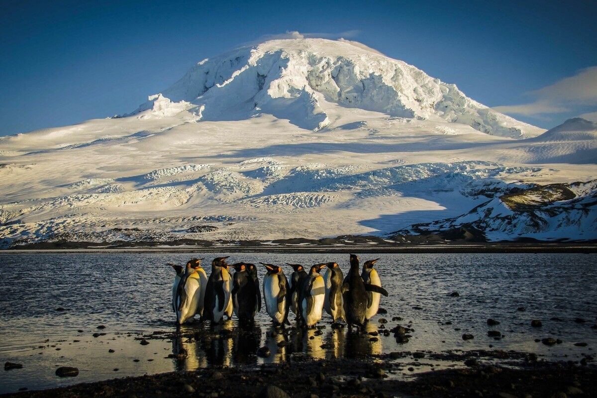 In der Region leben Pinguine, Robben und Wale. ⇒AFP