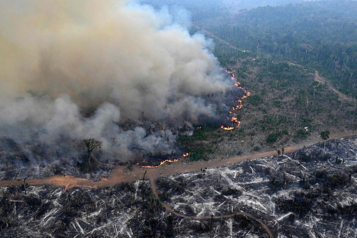 Mehr als die Hälfte der verbrannten Fläche liegt im Amazonasgebiet.⇒AFP