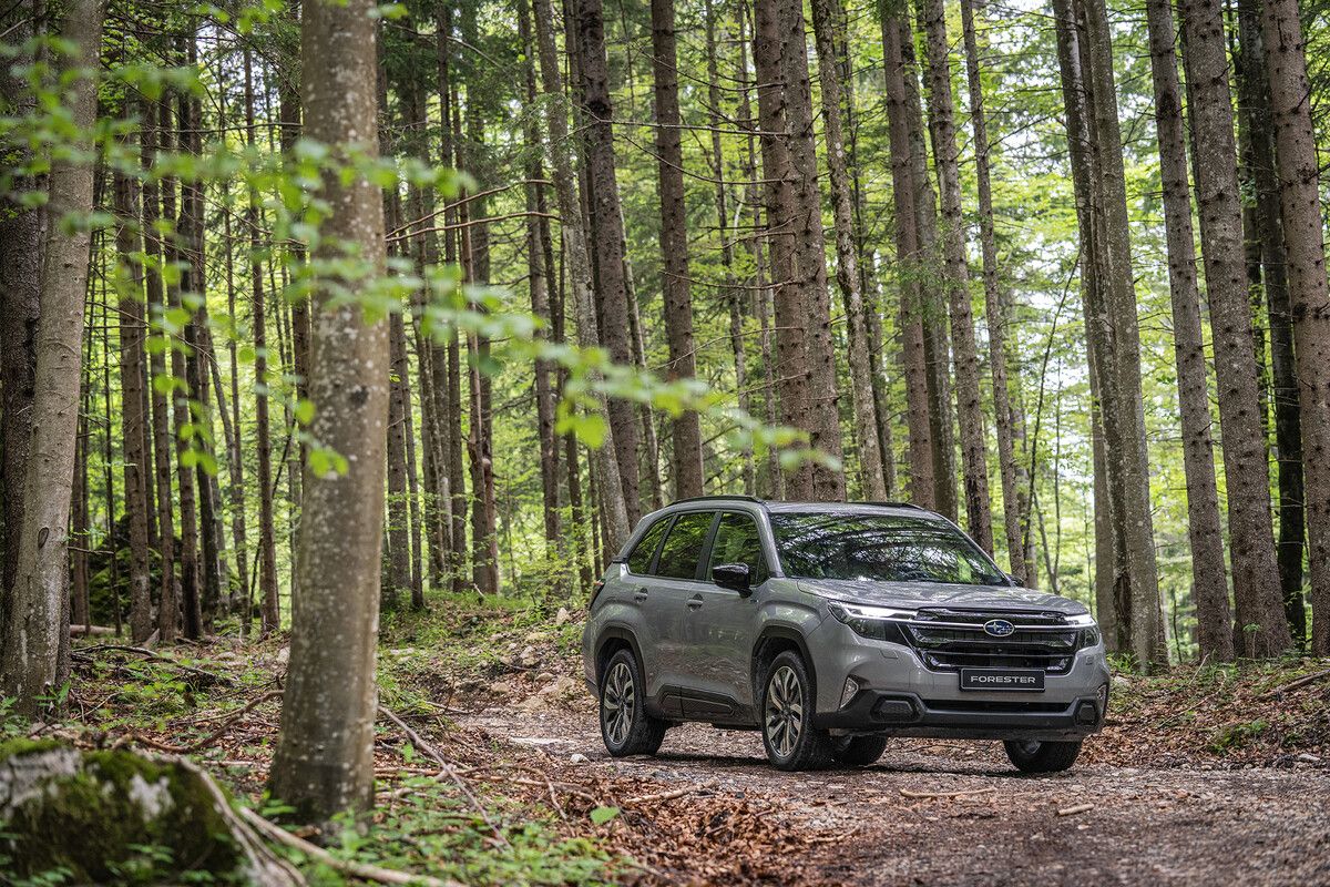 Subaru Forester: Verfeinert sind Design und Technik, die Leistung ist auf 136 PS reduziert. Kommt im Frühjahr 2025. Preis: steht noch nicht fest.