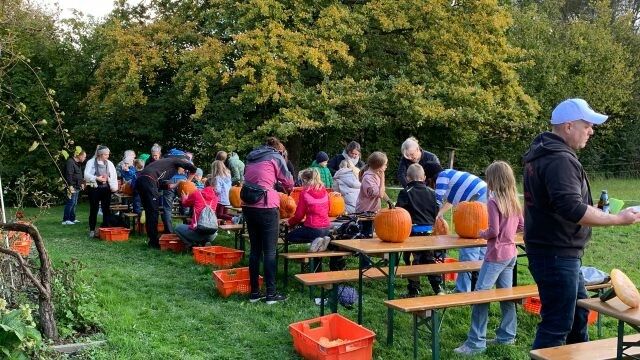 Viele nutzten das schöne Wetter, um gemeinsam einen Kürbis beim Kürbisfest des OGV zu schnitzen. ⇒OGV Lustenau
