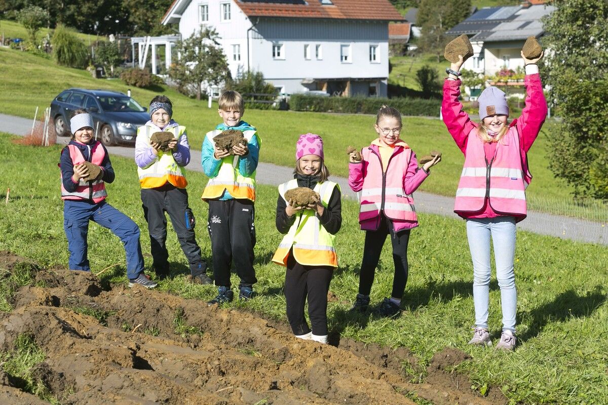 Vorfreude auf das eigene Korn: Bei der ersten Etappe ernteten die Volksschulkinder bei der Vorbereitung der Ackerfläche noch Steine. ⇒OGV/Mathis