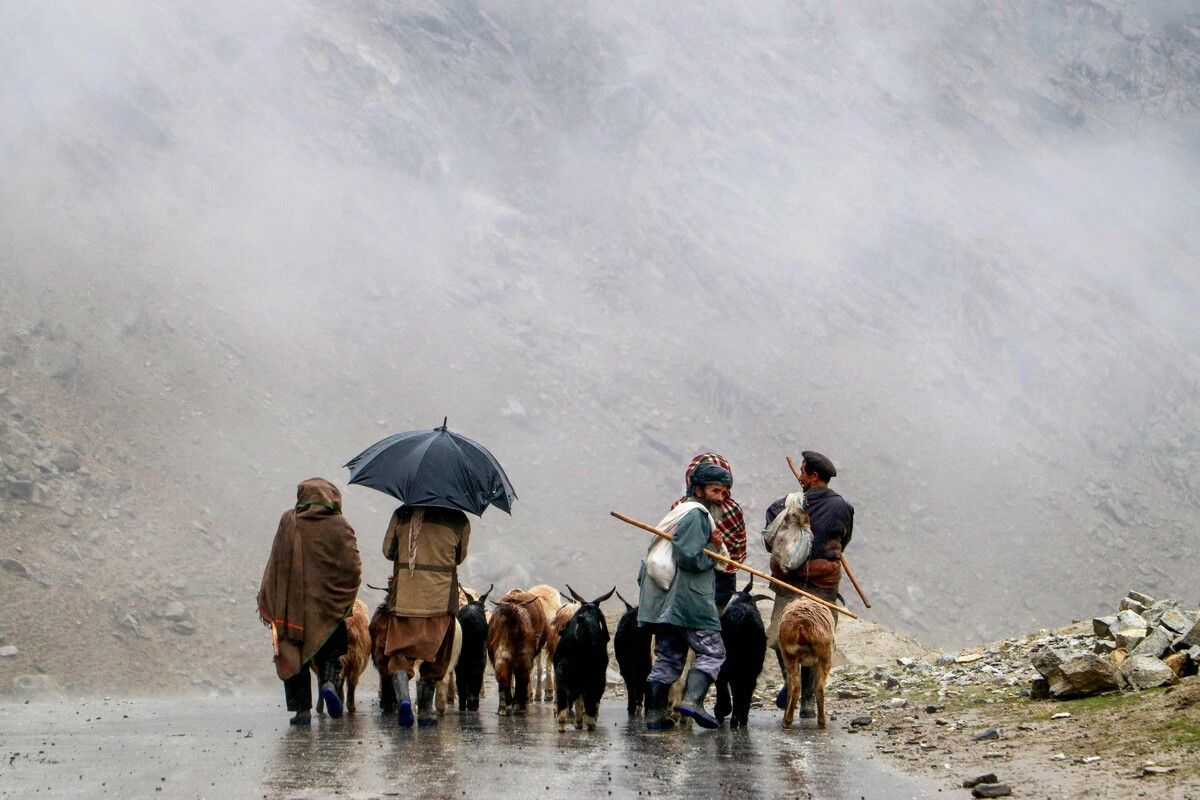 Afghanische Hirten spazieren mit ihren Schafen eine Straße im Bezirk Khash in der Provinz Badakhshan entlang. AFP