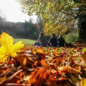 Herbst 2024 war wieder viel zu warm