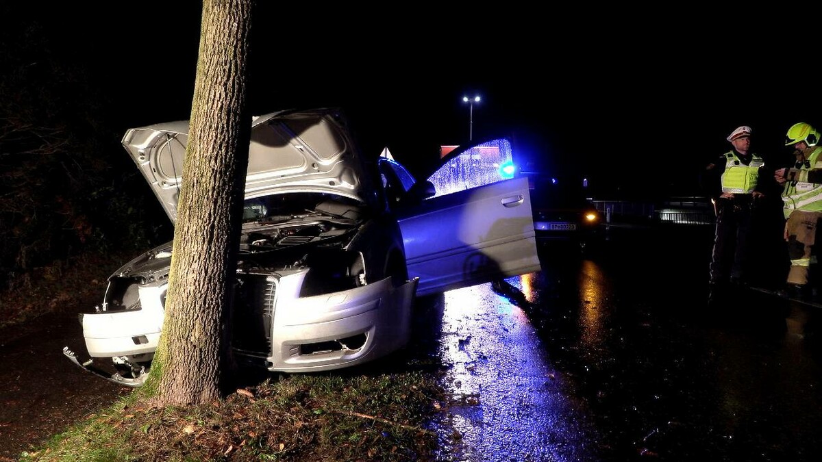 Das Auto stieß ungebremst gegen den Baumstamm.⇒M. shourot