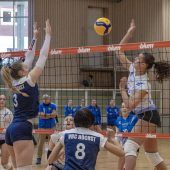 Doppelpack in der Messehalle