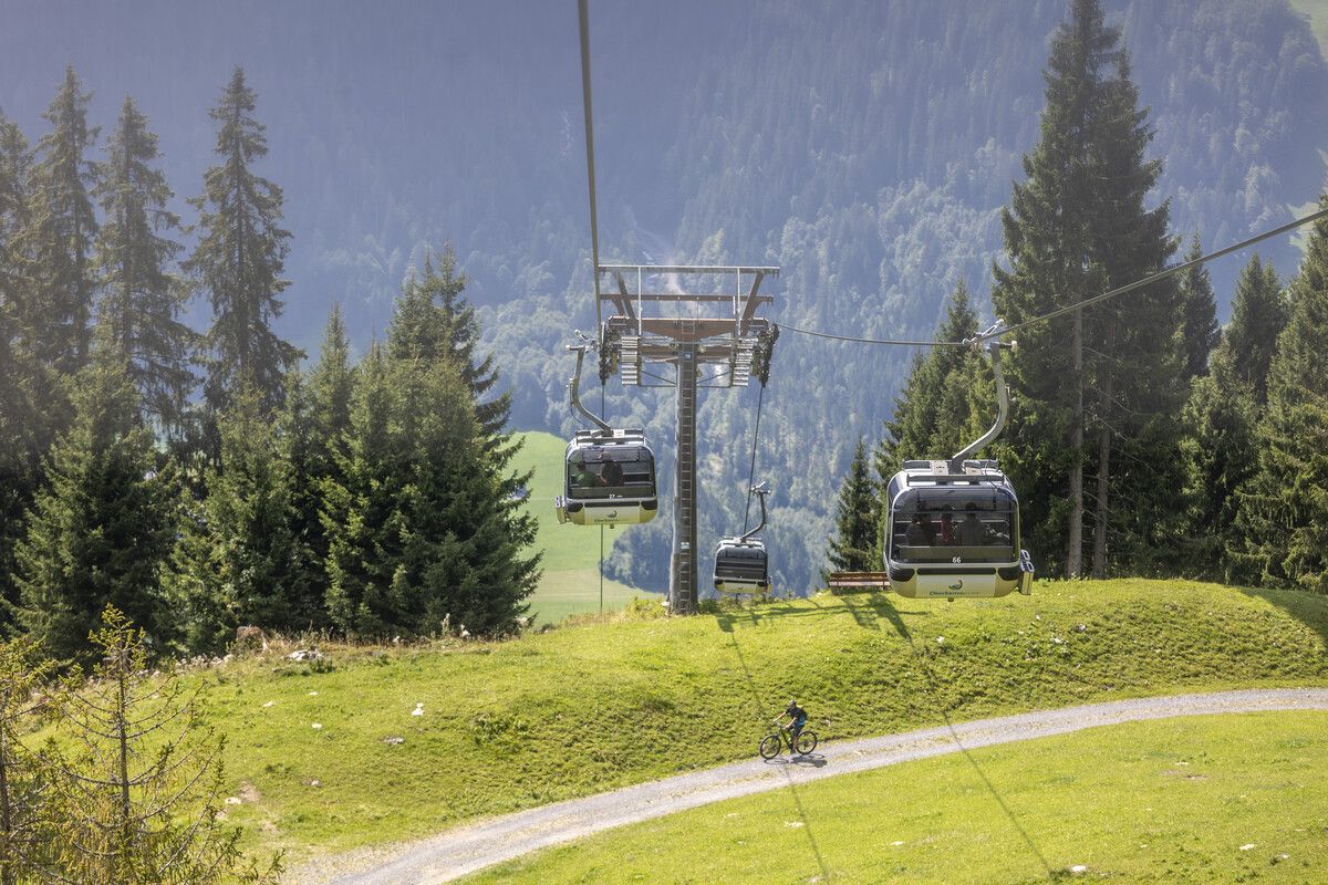 Der Bregenzerwald ist im Herbst ein Paradies für Naturliebhaber. Heuer wussten das weniger Urlauber zu schätzen. ⇒Paulitsch