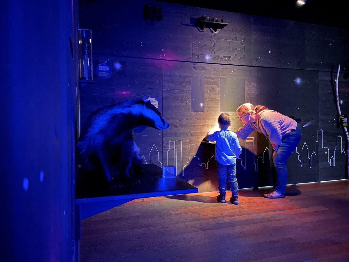 Der kleine Constantin gehört zu den ersten Sonderausstellungsbesuchern. ⇒⇒inatura/Mathias Witschuinig