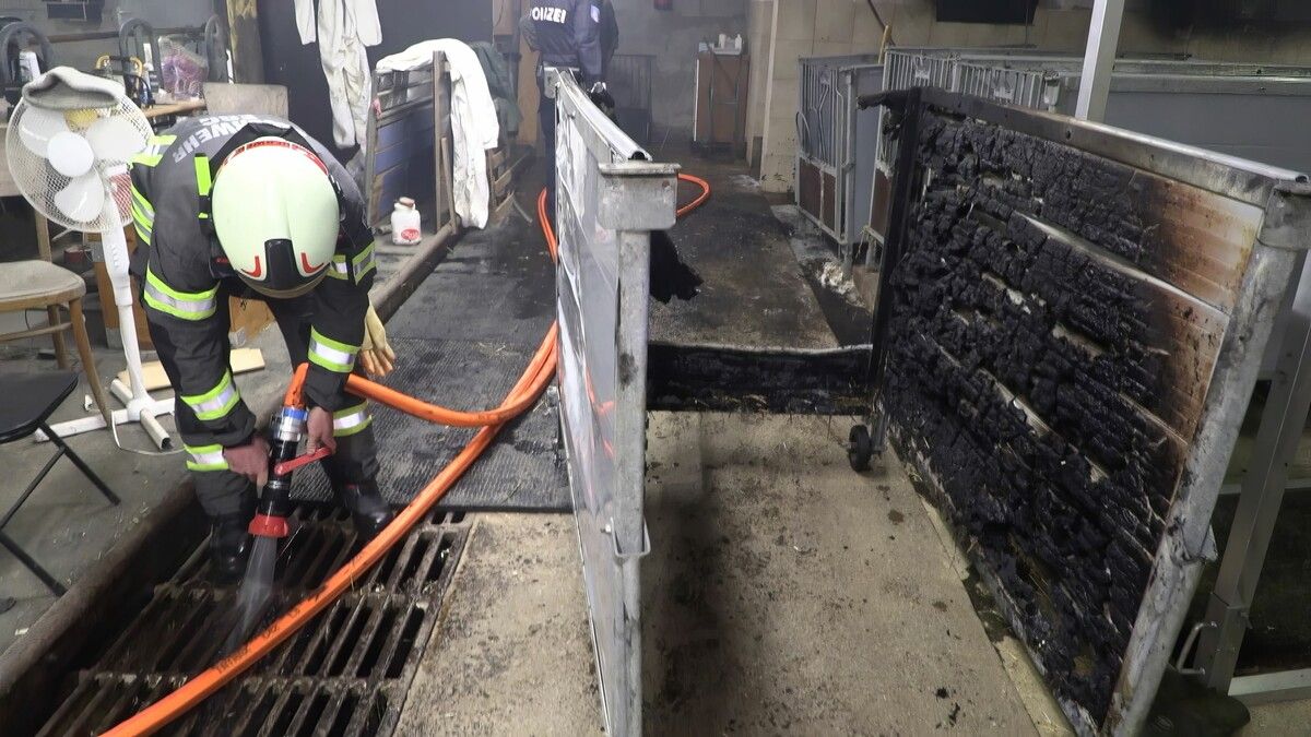 Die Einsatzkräfte brachten den Stallbrand in Egg schnell unter Kontrolle. ⇒M. Shourot
