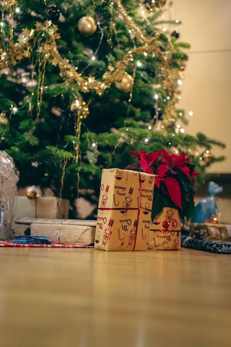 Die Kinder des SOS-Kinderdorfs freuen sich über die Geschenke.⇒Alexander Pichler