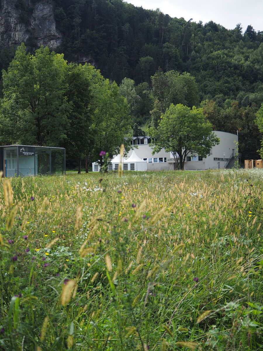Die Schranke im Reichenfeld ist wieder in Betrieb und reguliert den Zugang zum beliebten Naherholungsgebiet.⇒stadt feldkirch