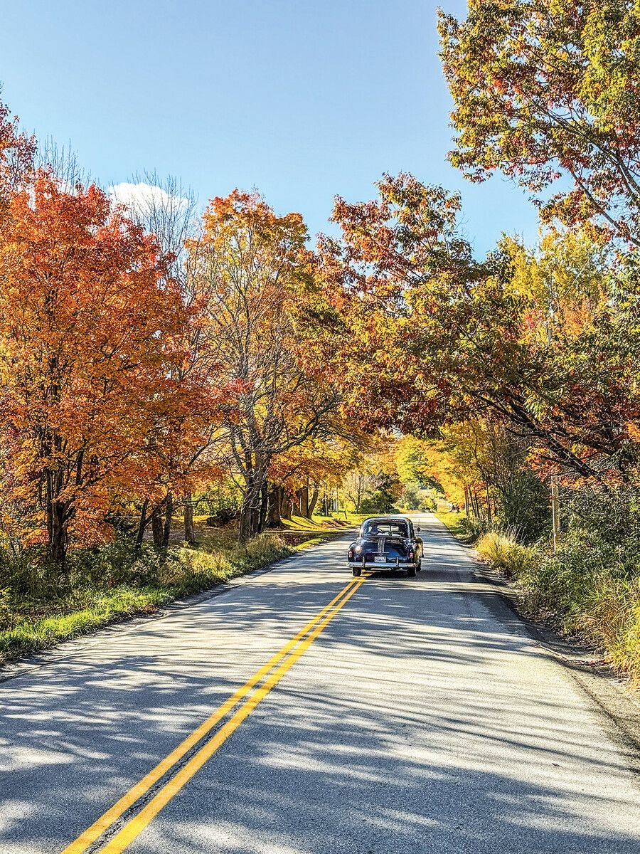 Im Herbst verwandeln sich die Straßen in ein wunderschönes Farbenspiel.⇒Beate Rhomberg