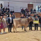 Siegerkuh „Dax“ überzeugt bei Viehschau