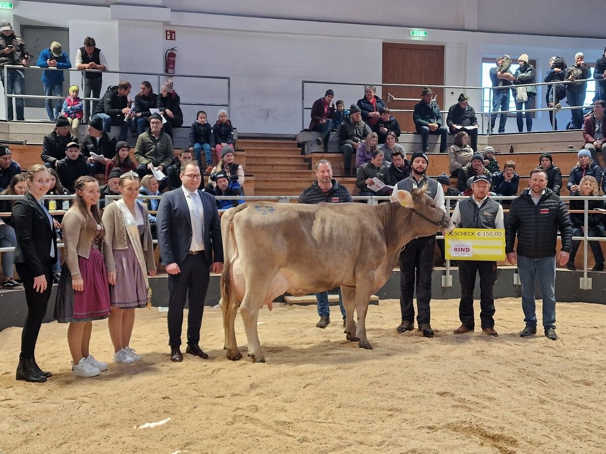In Dornbirn fand das dritte Vorarlberger Rind-Championat statt.⇒EST
