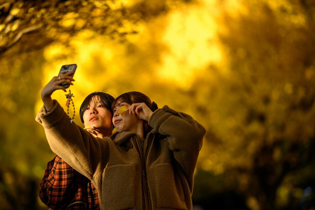 In Japan sind die herbstlichen Gingko-Bäume derzeit ein beliebtes Selfie-Motiv. AFP
