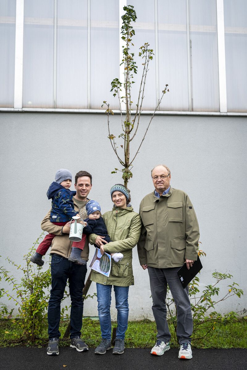 Jakob kann einen Baum bei der Tennishalle sein Eigen nennen.⇒Gemeinde Lauterach