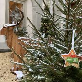 Beim Weihnachtsbaum auf den Stern achten