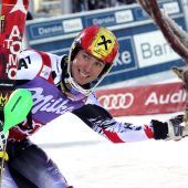 Hirscher in Levi nicht auf Rentier-Besuch