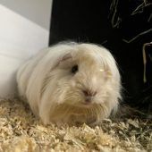 Kira freut sich auf Kuschelstunden