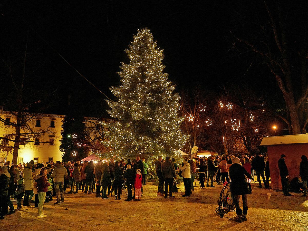 Mit der traditionellen Einschalfeier wird in der Nibelungenstadt der Advent eingeläutet, auch der Zauberwald kommt wieder.⇒