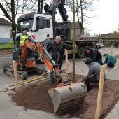 164 neue Bäume gepflanzt