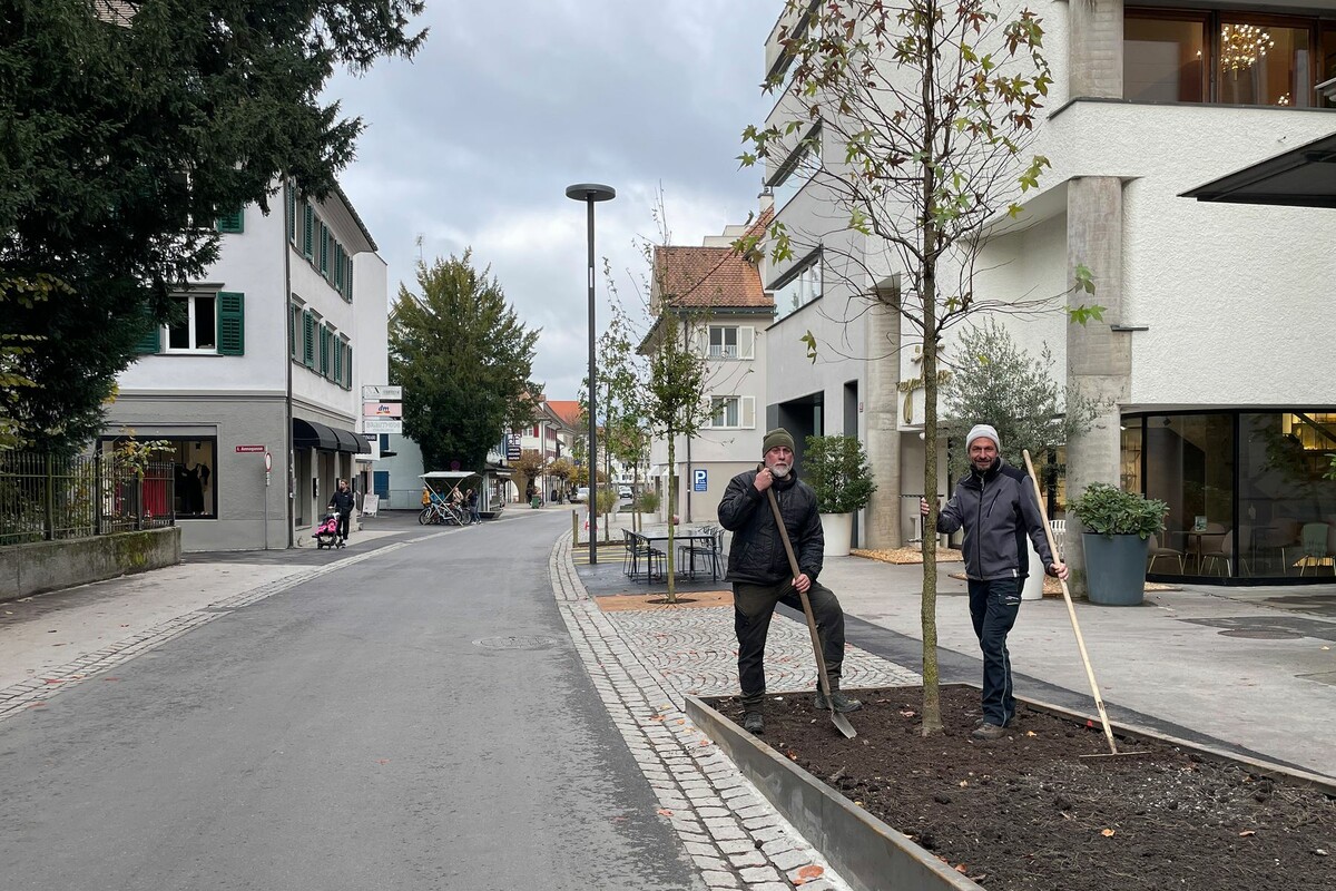 Mitarbeiter der Stadtgärtnerei nahmen die Pflanzaktion vor. ⇒StD