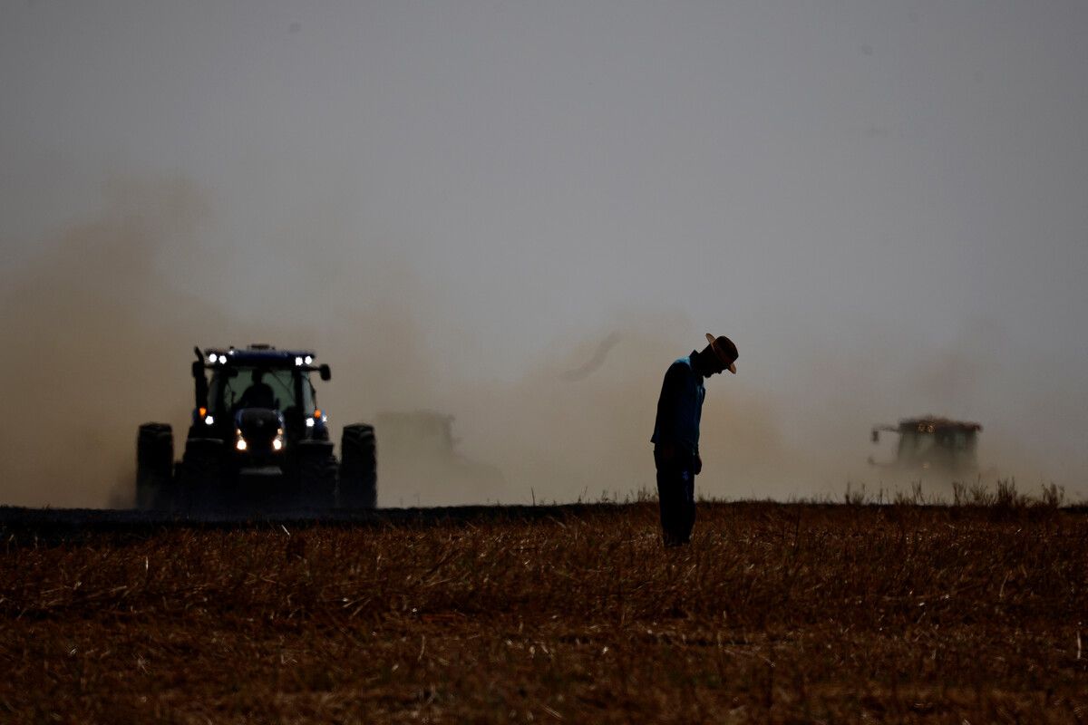 Monokulturen, Pestizide und niedrigere Tierwohlstandards in Südamerika: Die Sorgen bei heimischen Landwirten sind groß, was Mercosur bringt. ⇒Reuters