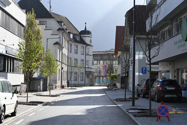 Neue, heimische Bäume zieren die Untersteinstraße.⇒ Stadt