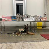 Spürnase deckt Schmuggel auf