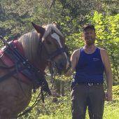 Mit einer Pferdestärke unterwegs im Wald
