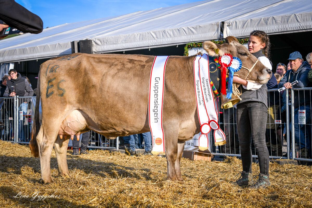 Stolz präsentierten die Landwirtinnen und Landwirte ihre Gruppensieger.
