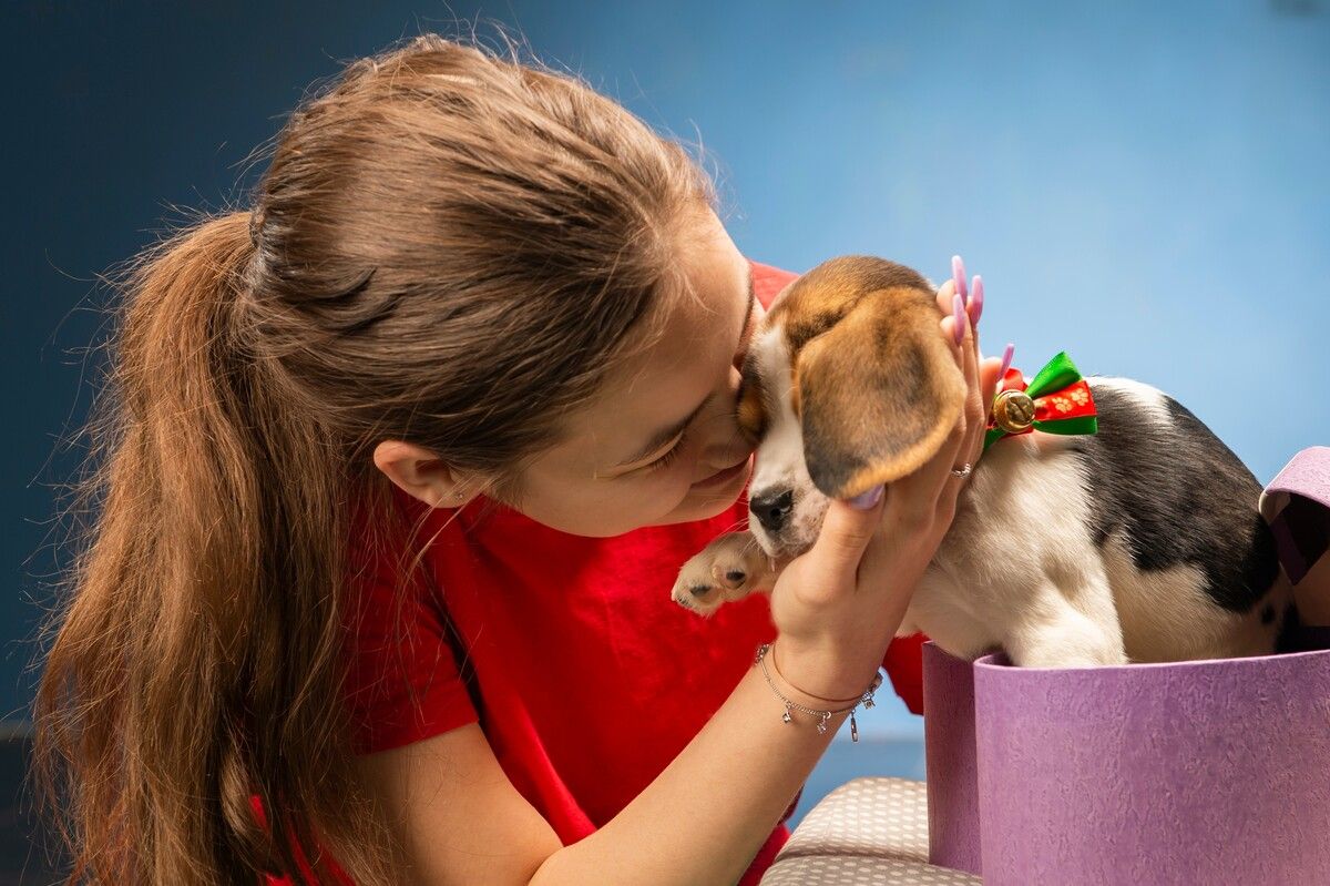 Tiere sind keine Weihnachtsgeschenke.⇒Shutterstock